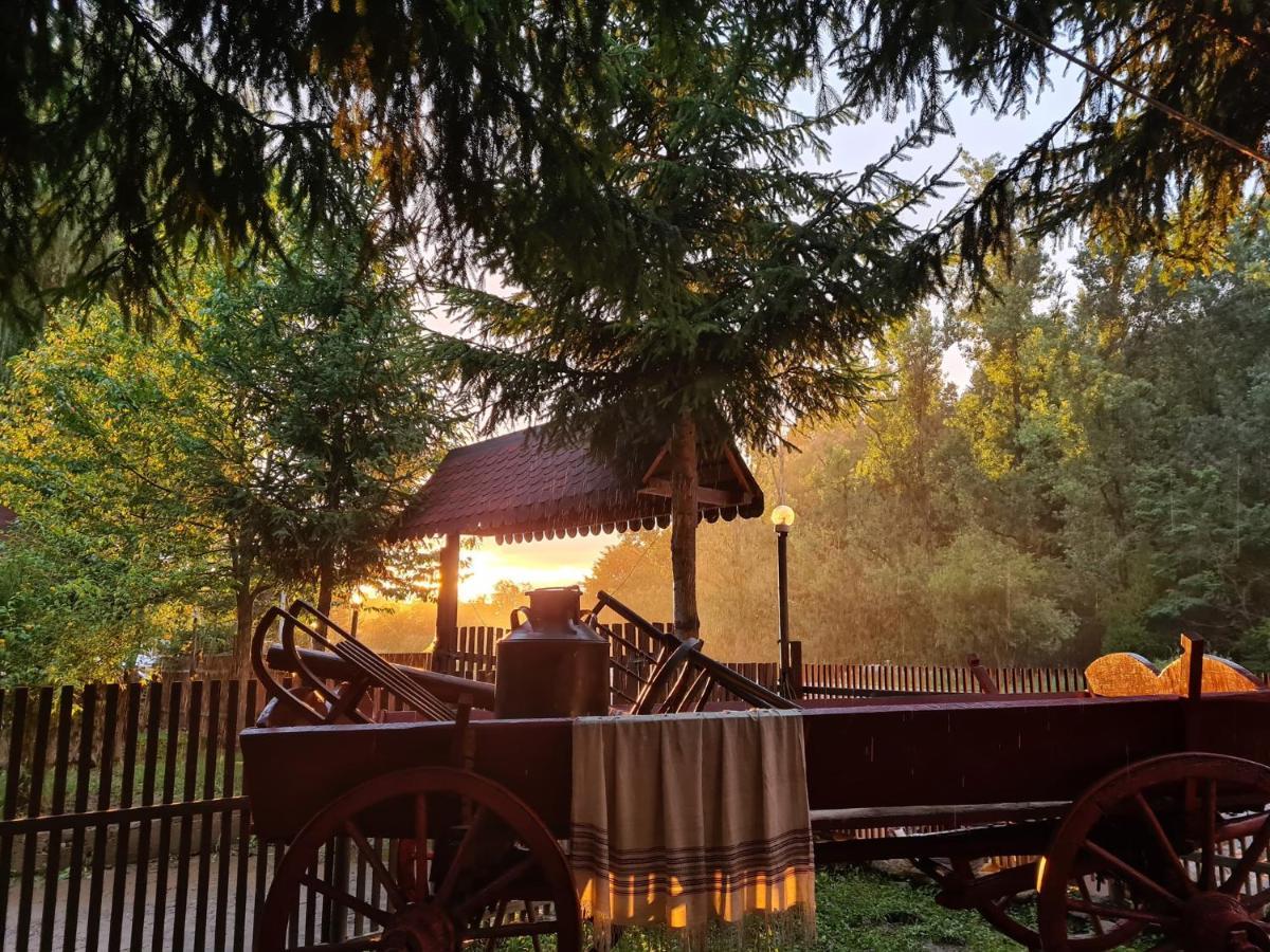 La Padure Hotel Brebu Buitenkant foto